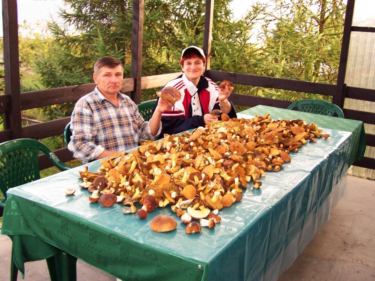 Biebrza24 - Agroturystyka Sztabin ภายนอก รูปภาพ