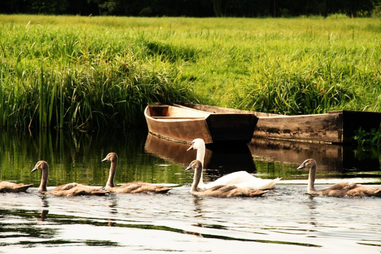 Biebrza24 - Agroturystyka Sztabin ภายนอก รูปภาพ
