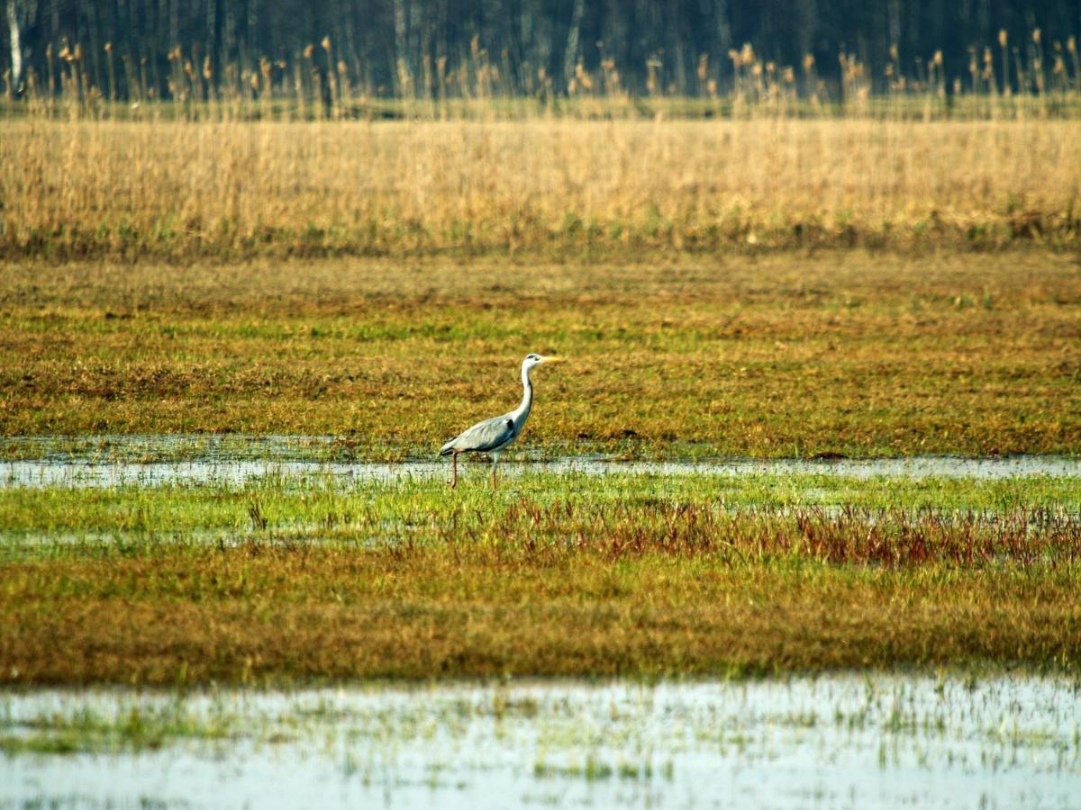 Biebrza24 - Agroturystyka Sztabin ภายนอก รูปภาพ