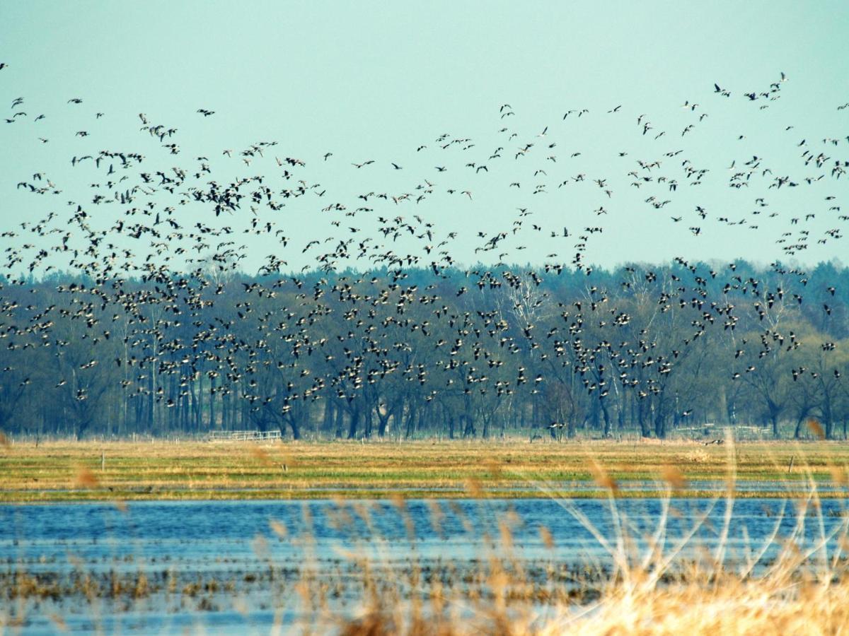 Biebrza24 - Agroturystyka Sztabin ภายนอก รูปภาพ