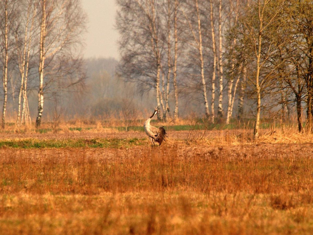 Biebrza24 - Agroturystyka Sztabin ภายนอก รูปภาพ